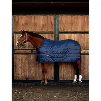 Decathlon Undercover voor paarden Weatherbeeta Comfitec Thermi-Heat 100g aanbieding