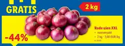 Lidl Rode uien XXL aanbieding