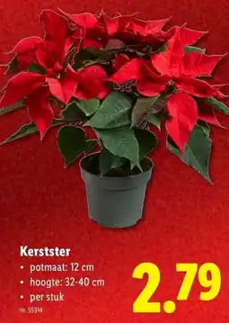 Lidl Kerstster aanbieding