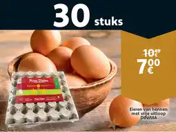 Cora Eieren van Hennen met Vrije Uitloop Dinima aanbieding
