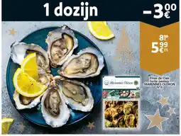 Cora Fines De Clair Holle Oesters Marennes Oleron N°4 aanbieding