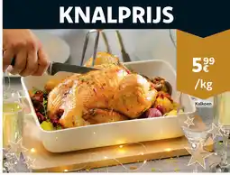 Cora Kalkoen aanbieding