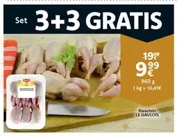 Cora Kwartels Le Gaulois aanbieding