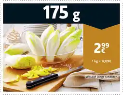 Cora Witloof Jonge Scheuten aanbieding