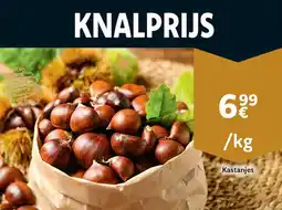 Cora Kastanjes aanbieding