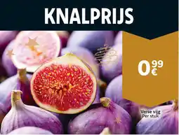 Cora Verse Vijg aanbieding