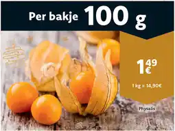 Cora Physalis aanbieding