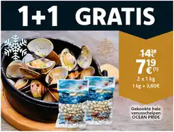 Cora Gekookte hele venusschelpen ocean pride aanbieding