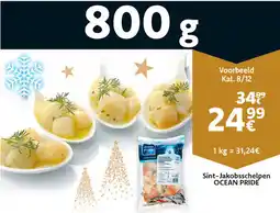 Cora Sint-Jakobsschelpen Ocean Pride aanbieding