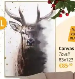 YGO Canvas Toveli aanbieding