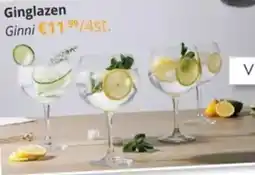 YGO Ginglazen Ginni aanbieding