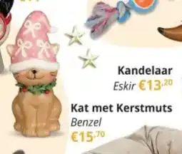 YGO Kat met Kerstmuts Benzel aanbieding