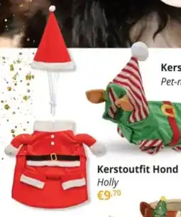 YGO Kerstoutfit Hond Holly aanbieding