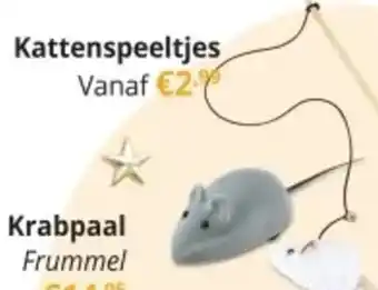 YGO Kattenspeeltjes aanbieding