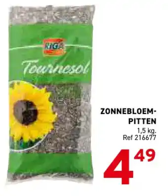 Trafic Zonnebloem pitten aanbieding