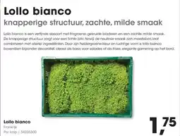 Hanos Lollo bianco aanbieding