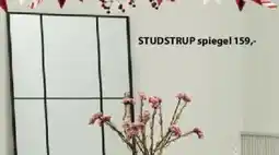 Jysk Studstrup Spiegel aanbieding