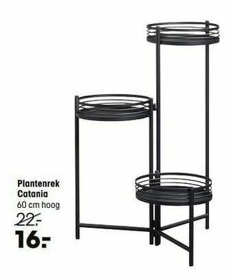 Kwantum Plantenrek catania aanbieding