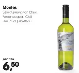 Hanos Montes Select sauvignon blanc Anconcagua Chili aanbieding