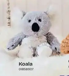 Dreamland Koala aanbieding