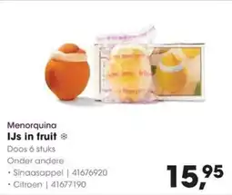 Hanos Menorquina IJs in Fruit aanbieding