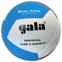 Decathlon Volleybal Pro-line 5576S aanbieding