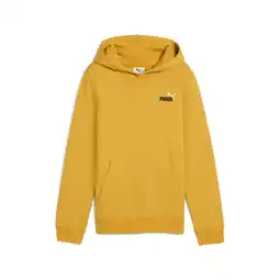 Decathlon Junior Hoodie Puma Essentials 2 aanbieding