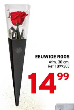 Trafic Eeuwige roos aanbieding