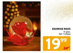 Trafic Eeuwige roos aanbieding