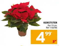 Trafic Kerstster aanbieding
