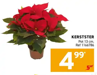 Kerstster