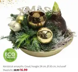 Intratuin Kerststuk amaryllis aanbieding