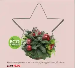 Intratuin Kerstarrangement met ster aanbieding
