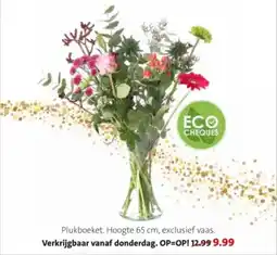 Intratuin Plukboeket aanbieding