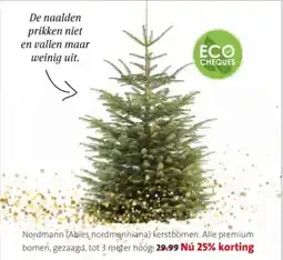 Intratuin Nordmann aanbieding