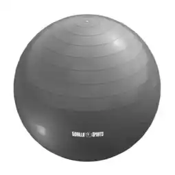 Decathlon Fitnessbal Ø 75 cm - incl. Pomp - Gym bal - Yoga - Belastbaar tot 500 kg aanbieding