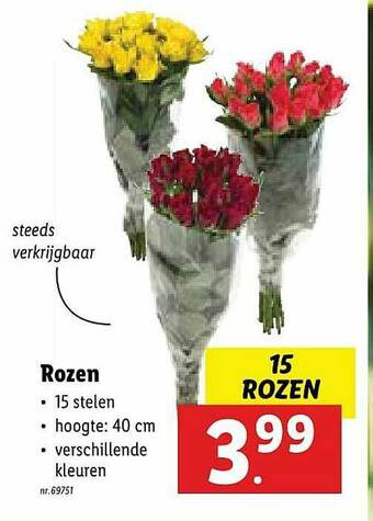 Lidl Rozen aanbieding