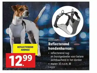 Lidl Zoofari Reflecterende Hondenharnas aanbieding
