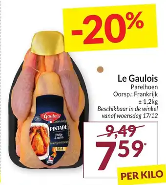 Le Gaulois Parelhoen