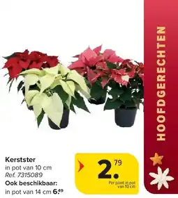 Carrefour Kerstster aanbieding