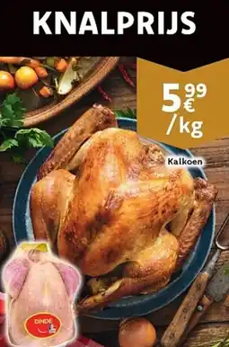 Cora Kalkoen aanbieding