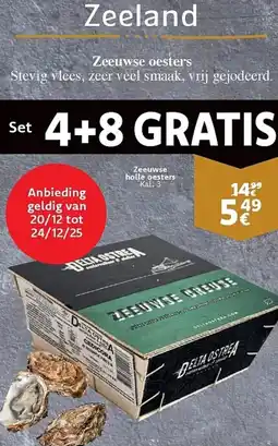 Cora Zeeuwse holle oesters aanbieding