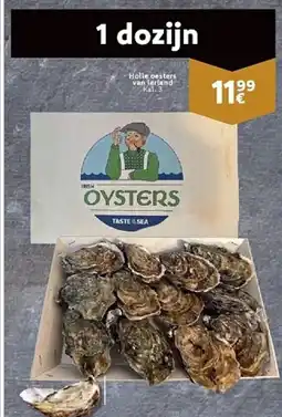 Cora Holle oesters van lerland Kal. 3 aanbieding