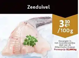 Cora Zeeduivel aanbieding
