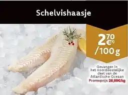 Cora Schelvishaasje aanbieding