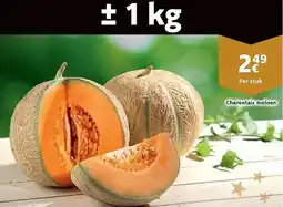 Cora Charentais meloen aanbieding