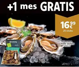 Cora Zeeuwse holle oesters aanbieding
