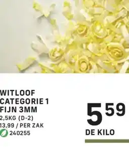 Bidfood Witloof categorie 1 FIJN 3MM aanbieding
