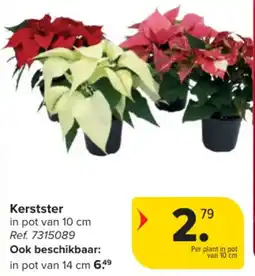 Carrefour Market Kerstster aanbieding