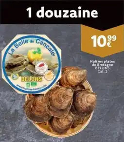 Cora Huitres Plates de Bretagne Belons Cal. 2 aanbieding